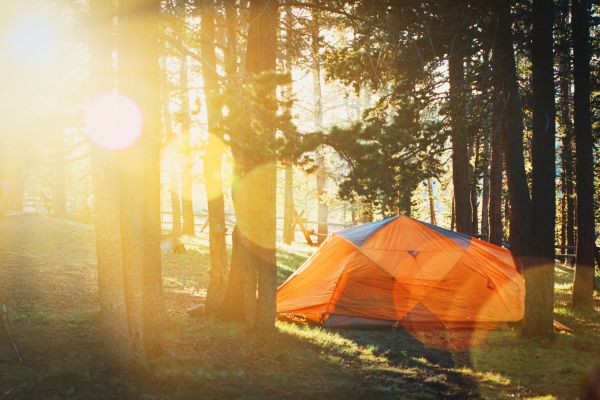 Camping en charente-maritime : explorez 250 terrains uniques !